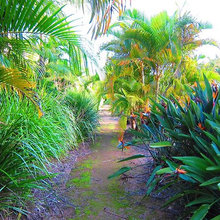 Byron Lakeside Holiday Apartments Byron Bay Dış mekan fotoğraf